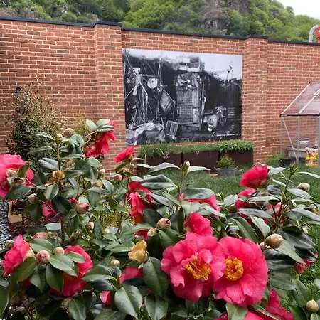 D'artemisia D'hotes Panzió 4*