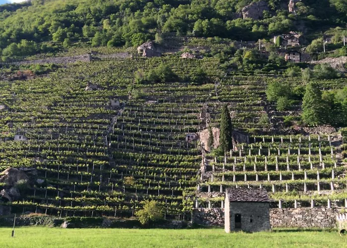 D'artemisia D'hotes ベッド・アンド・ブレックファスト ポン・サン・マルテン